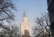 Takie ładne obrazki radują serce