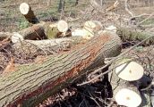 Miasto ma prawo wnieść sprzeciw. Pamiętajmy o tym