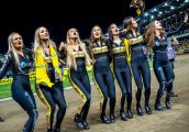 Stal organizuje casting i czeka na kandydatki