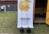 Będą sprzedawać naszą renetę