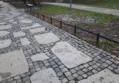 W tym mieście to nawet chwasty nie mają łatwo