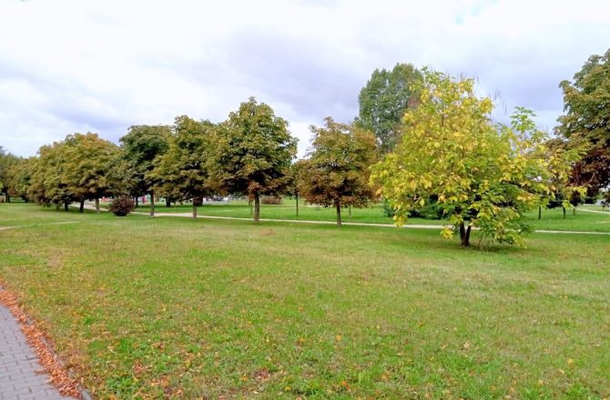 Park Górczyński