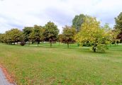 Zimą odśnieżają, teraz zadbają o zieleń i ławki