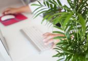 Nowe programy dla przedsiębiorców