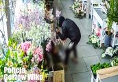 Kradł nawet kwiaty doniczkowe. Teraz posiedzi