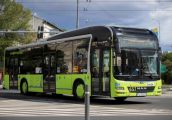 Linia autobusowa nr 201 nad jezioro Nierzym