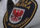 Jeśli szukasz pracy, możesz spróbować swoich sił