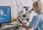 Będą poznawać tajniki hodowli owadów w praktyce
