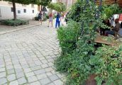 I ostatnia jak na tę chwilę glossa w sprawie kostki