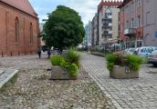 Zazieleni się czy się nie zazieleni?