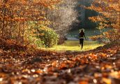 Odzież sportowa na jesień. Czym powinna się wyróżniać?