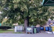 No i prawie jak w każdej większej stolicy świata