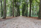 Park Kopernika i skwer przy Spichlerzu do remontu