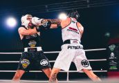 TYLKO U NAS – Gala Boxing Challenge (galeria)