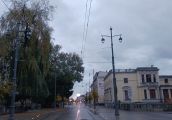 Komu przeszkadzają stare drzewa?