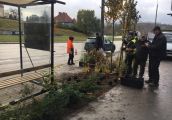 Czekanie na autobus w otoczeniu zieleni