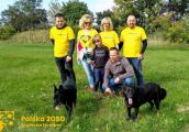 Jest apel do władz Gorzowa odnośnie czipowania psów