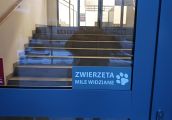I już cała Polska wie, jaki przyjazny magistrat