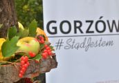 Gorzowskie jabłko - owocem z tradycją
