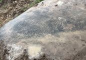Tajemniczy głaz spod Gorzowa pod łyżką koparki