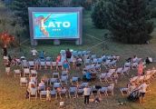 Niedługo będzie wszystko wiadomo