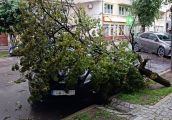 No i z przytupem zakończył się urlop