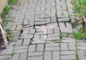 Ciekawe, kiedy ktoś złamie nogę?