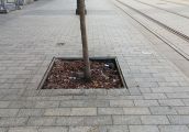 W zadumie nad kratkami, których nie ma