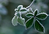 Dziś ostatnia ziemska droga Zbigniewa Czarnucha