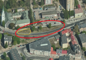 Posadzą pięć tysięcy cebulek żonkili