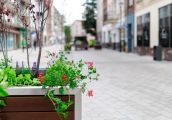 Przestrzeń ma być jeszcze bardziej zielona