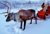 Rudolf: A czerwony nos oświetla drogę świętemu Mikołajowi