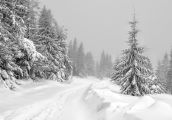 I znów przyszły ferie, tym razem zimowe