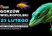 Egzotyczne zwierzęta w Arenie Gorzów!