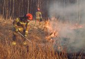 Nieuzasadnione, niebezpieczne, nielegalne. Strażacy gaszą trawy