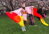 Sakura, czyli Święto Kwitnącej Wiśni