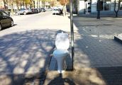 Szlak Królewski dumnego miasta i takie widoki