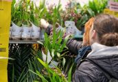 Wiosenna edycja Festiwalu Roślin w Gorzowie