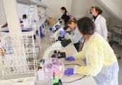 Analityka medyczna – nowy kierunek w AJP