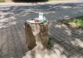 Oznakowane kosze na śmieci pojawią się w Gorzowie?