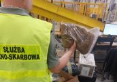 Wykryto nielegalny tytoń w sortowniach