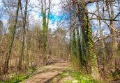 Miejsce to zmieni się w atrakcyjną przestrzeń