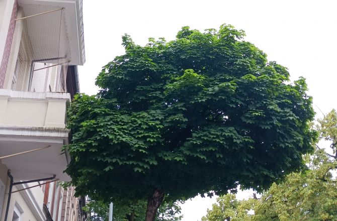 medium_news_header_44006.jpg