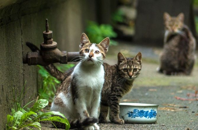 medium_news_header_44092.jpg