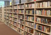 Bibliotekarze w wirze kultury