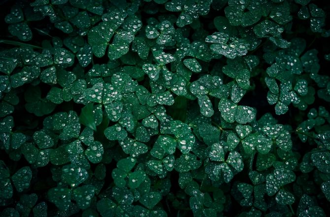 medium_news_header_44158.jpg