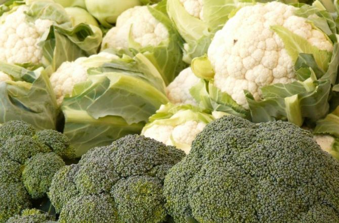 Naturalne substancje antyodżywcze (cz. IV)