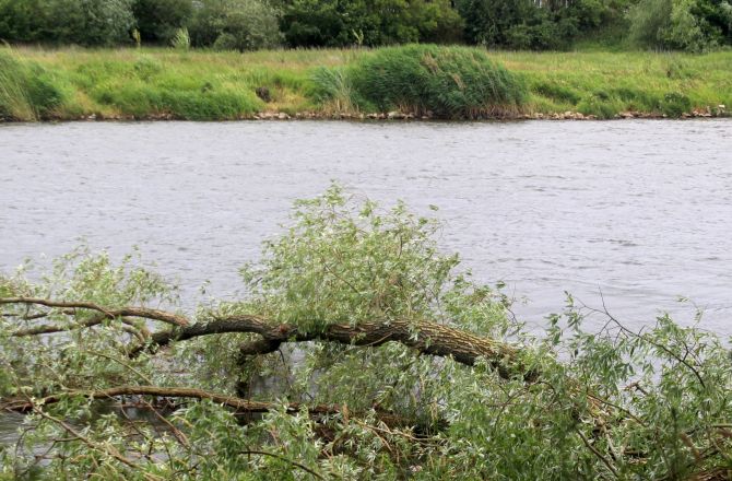 Trwają poszukiwania mężczyzny w Warcie