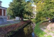 Idylliczne zdjęcie z pewną obrzydliwostką