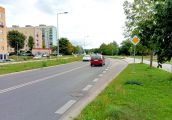 Klimat nie sprzyja miejskim drzewom